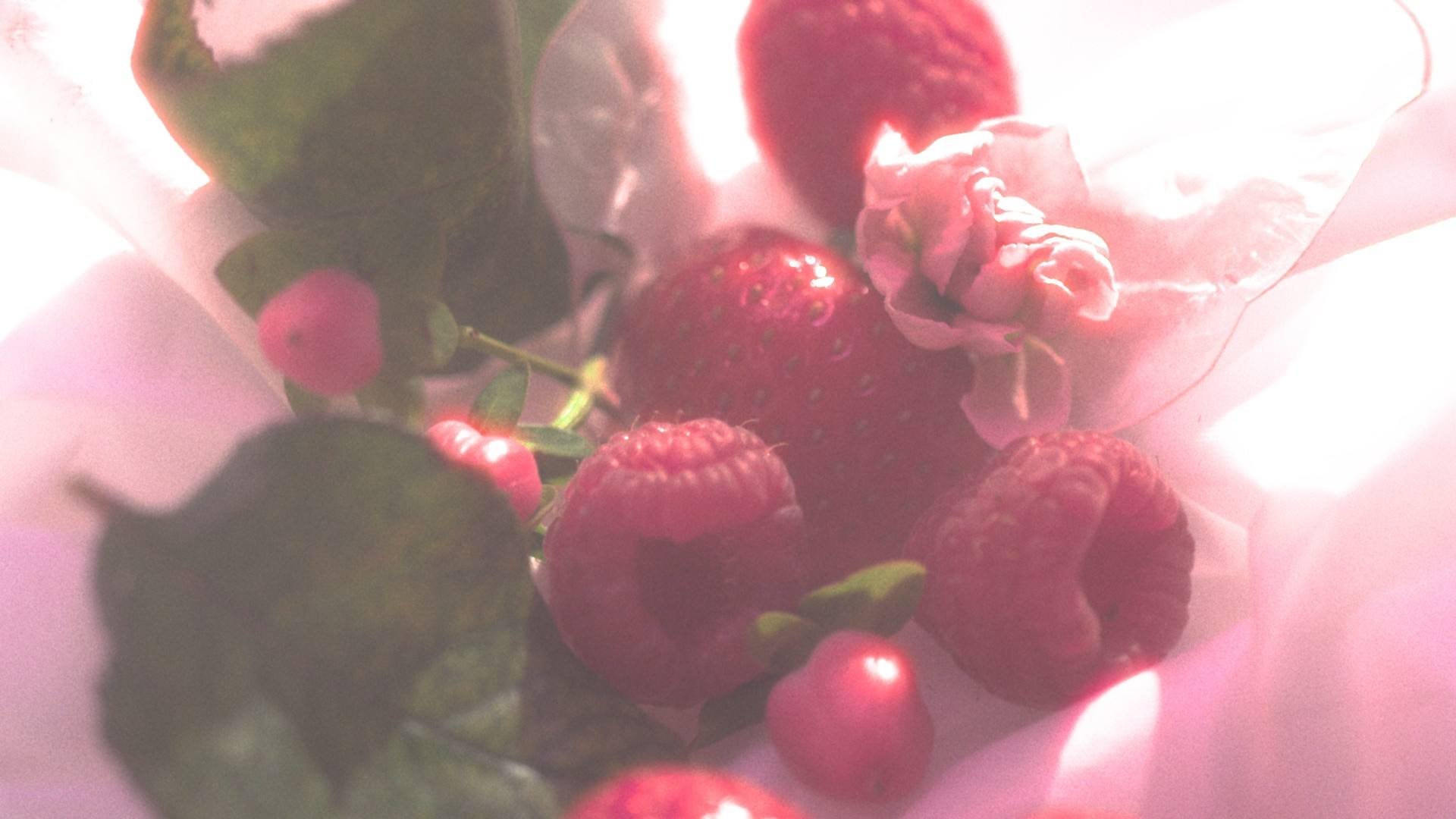 Raspberries and leaves wrapped in pink tissue, hazy and overexposed