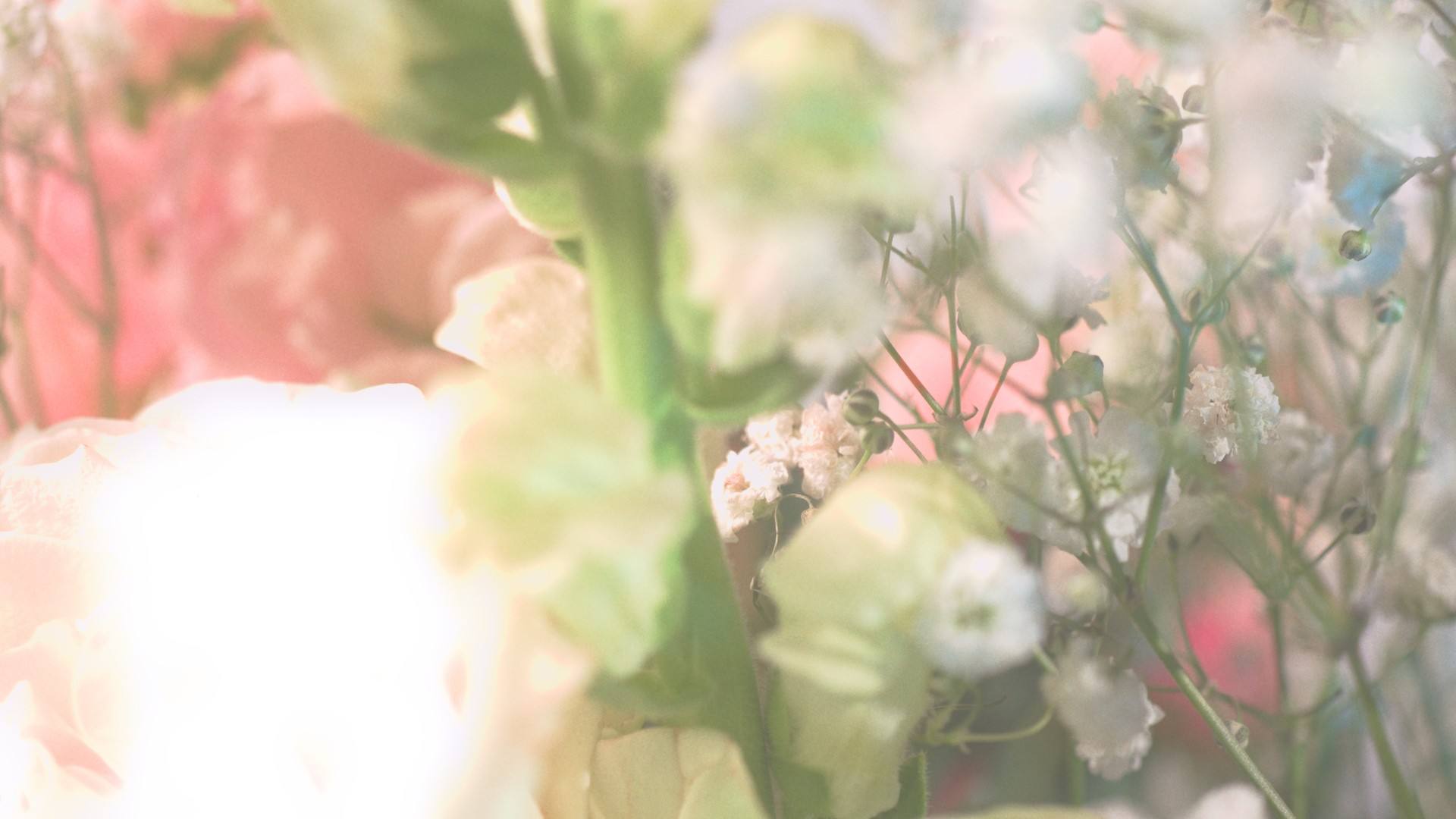 Soft-focus pastel flowers and baby’s breath