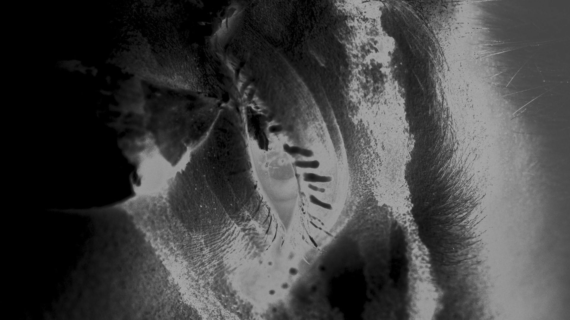 A second inverted black-and-white frame
