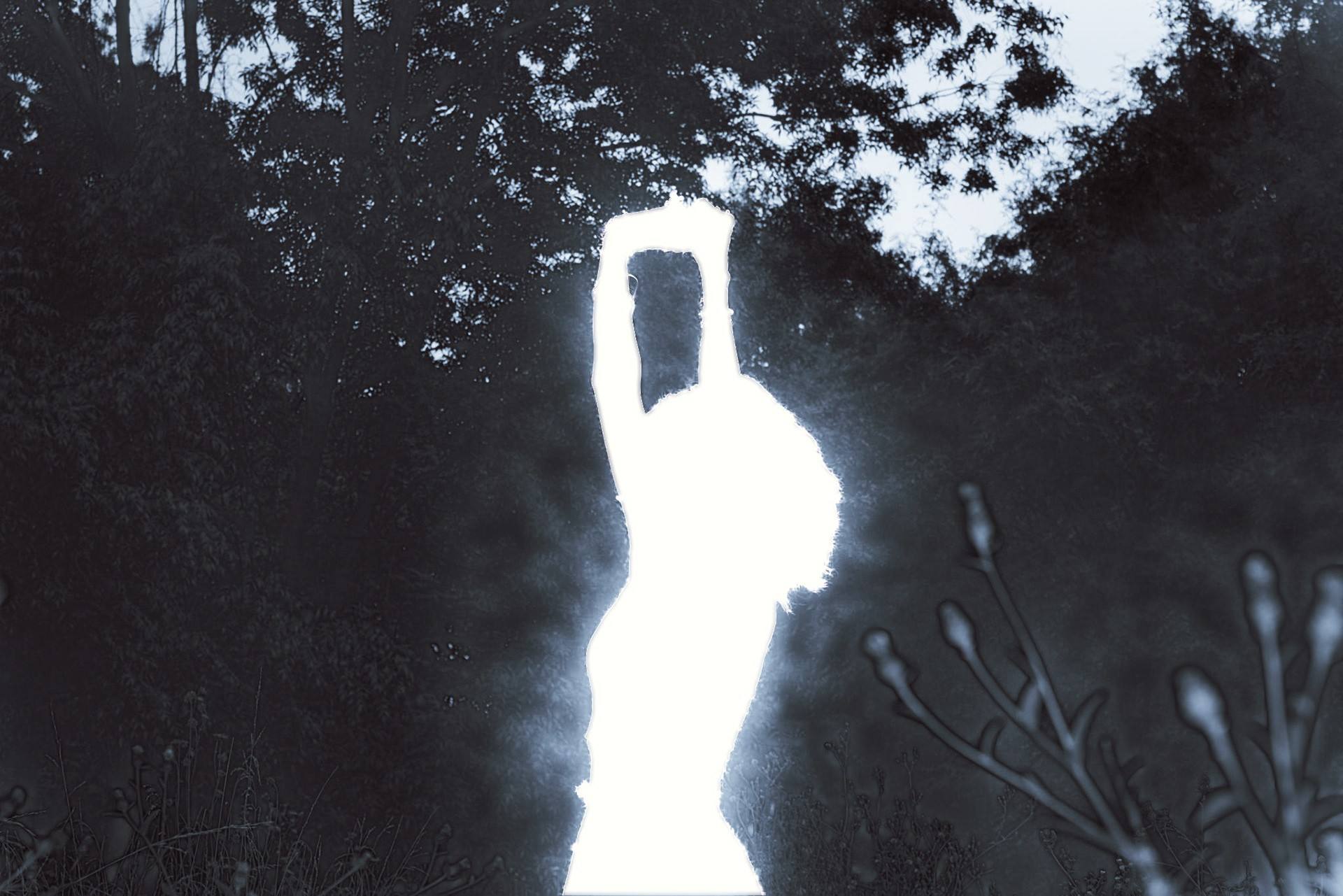 Negative image: a glowing white silhouette with raised arms against dark inverted trees