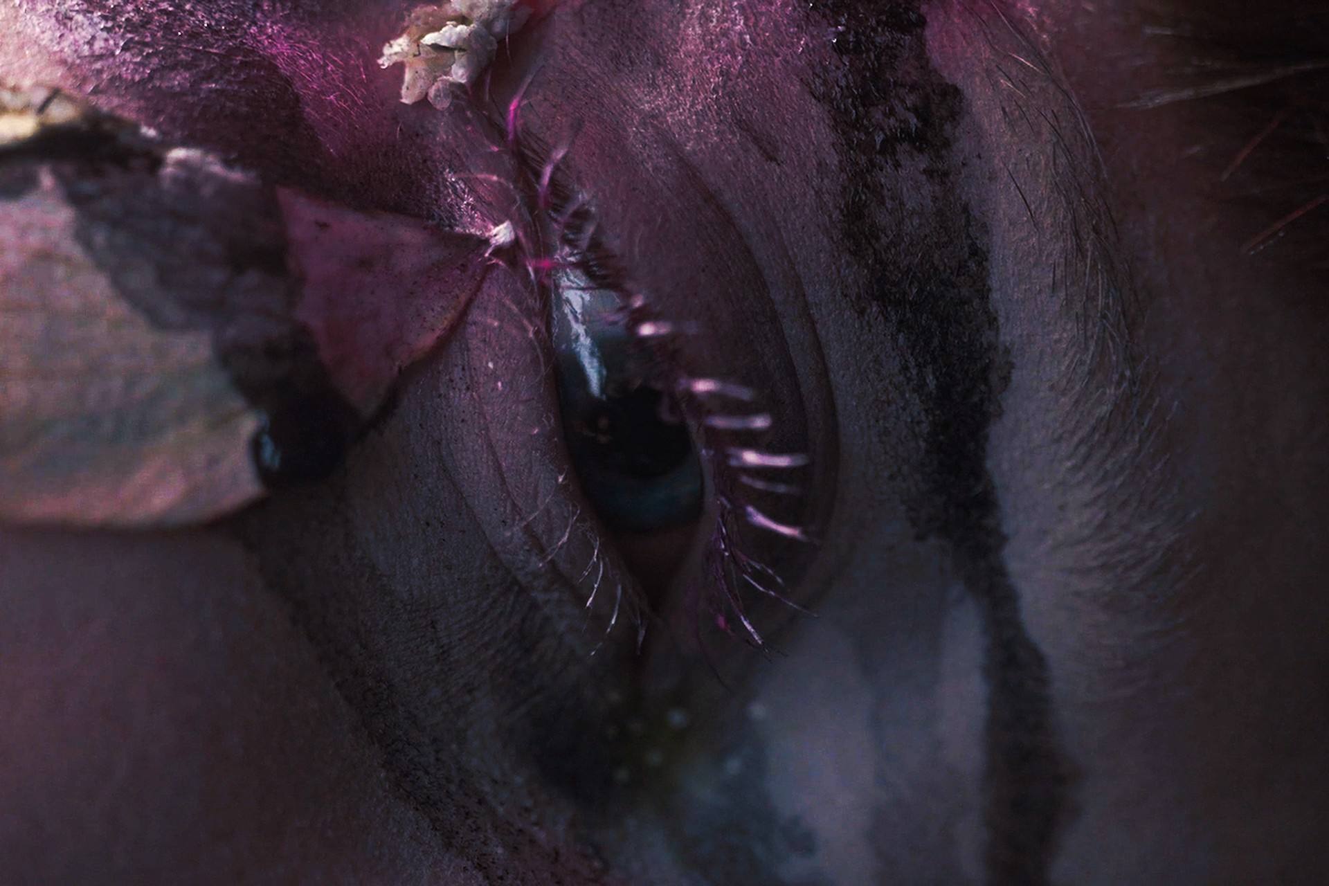 Magenta close-up of an eye with stitched lashes and dried petals